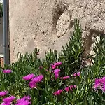 Rome Baška